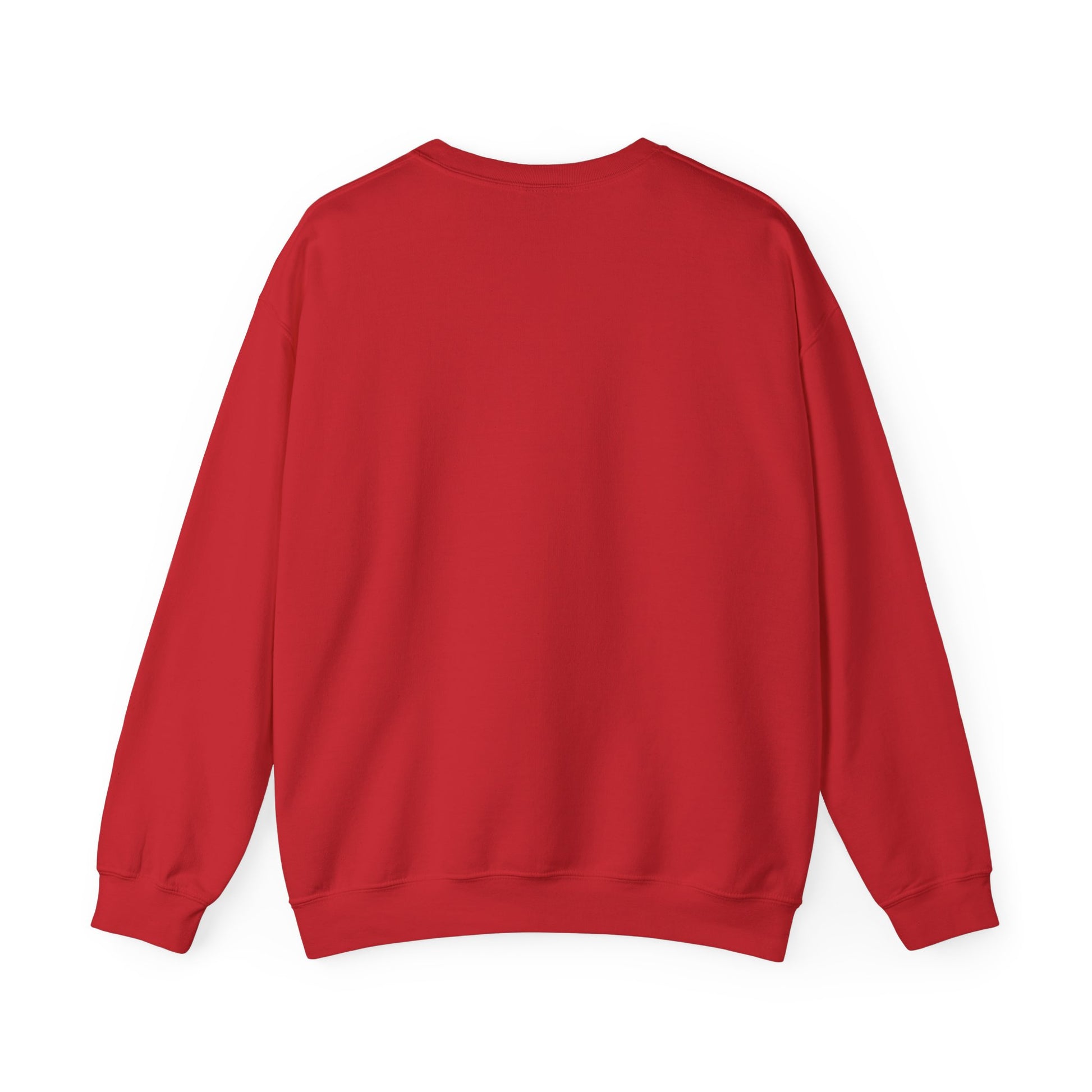 FASTLANE® UNISEX COZY SWEATSHIRT